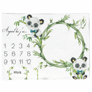 Mon petit panda - Panneau étape/mois 75x100 Boy