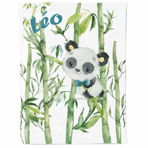 Mon petit panda - Panneau couverture - Boy
