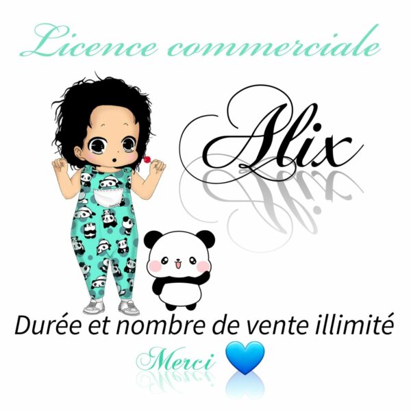 Alix - Combi - 1 aux 36 mois - Licence commercial
