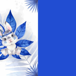 Couverture doudou - 210 (précommande)