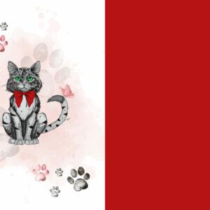 Couverture doudou - 309 (précommande)