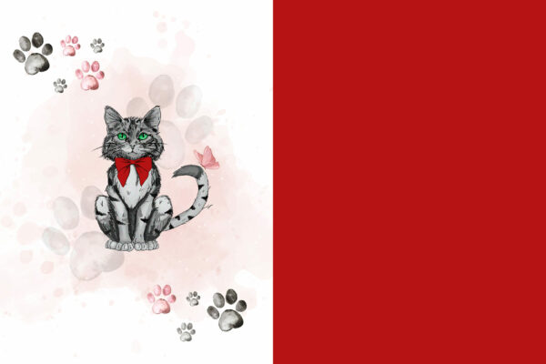 Couverture doudou - 309 (précommande)